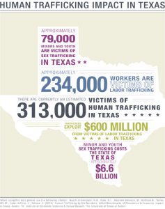 trafficking texas human estimates infographic bbr releases team labor
